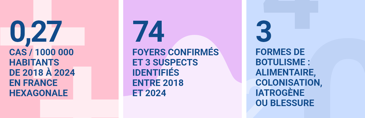 0,27 cas / 1000 000 habitants de 2018 à 2024 en France hexagonale. 74 foyers identifiés entre 2018 et 2024, comptabilisant 122 malades (dont 107 hospitalisés et 1 déces). 3 formes de botulisme : alimentaire, colonisation, iatrogène ou blessure