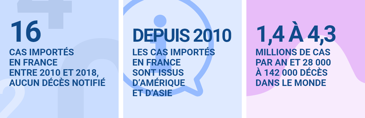 16 cas importés en france entre 2010 et 2018, aucun décès notifié depuis 2010 les cas importés en france sont issus d’amérique et d’asie 1,4 à 4,3 millions de cas par an et 28 000 à 142 000 décès dans le monde