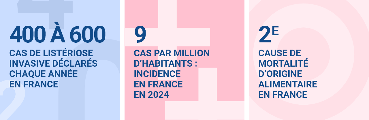 400 à 600 cas de listériose invasive déclarés par an en France / 9 cas par million d'habitants : incidence en France en 2024 / 2e cause de mortalité d'origine alimentaire en France