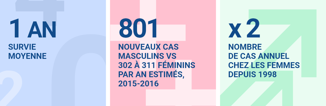 1 an survie moyenne 801 nouveaux cas masculins vs 302 à 311 féminins par an estimés, 2015-2016 fois 2 nombre de cas annuel chez les femmes depuis 1998