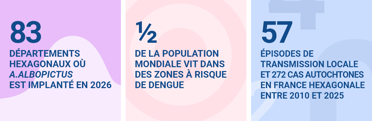 83 départements hexagonaux où A.albopictus est implanté en 2026 ½ de la population mondiale vit dans des zones à risque de dengue 57 épisodes de transmission locale et 272 cas autochtones en France hexagonale entre 2010 et 2025