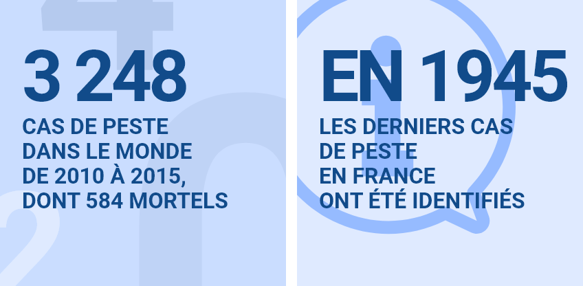 3 248 cas de peste dans le monde de 2010 à 2015, dont 584 mortels  en 1945, les derniers cas de peste en France ont été identifiés