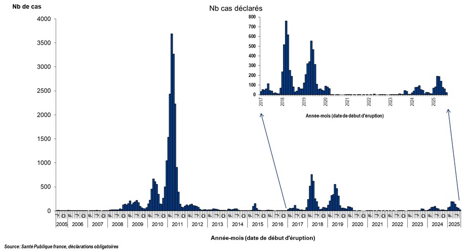 Distribution du nombre de cas de rougeole déclarés par mois, France entière, 1er janvier 2008 – 31 août 2025*