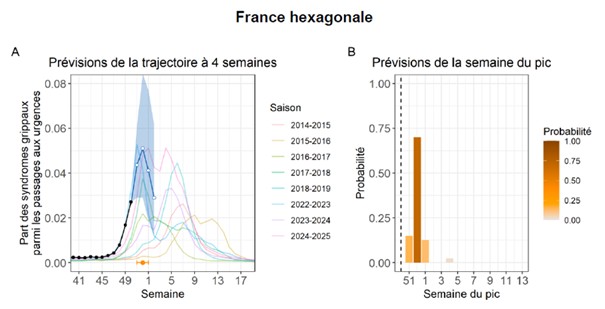 Prévisions de la grippe saisonnière en France