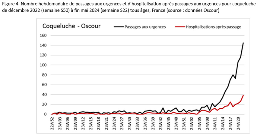 Figure 4. Nombre hebdomadaire de passages aux urgences et d’hospitalisation après passages aux urgences pour coqueluche  de décembre 2022 (semaine S50) à fin mai 2024 (semaine S22) tous âges, France (source : données Oscour)