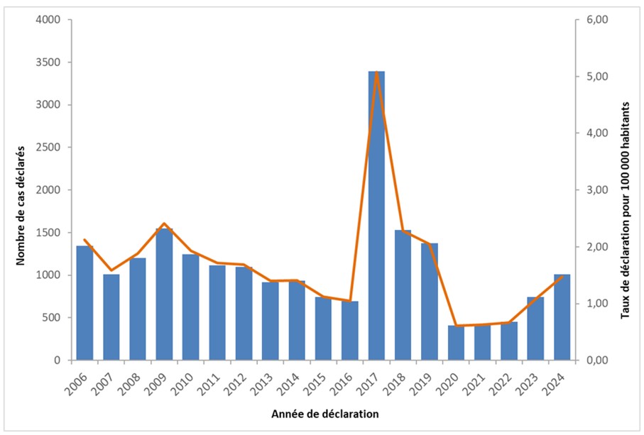 1. Nombre de cas et taux de déclaration annuel pour 100 000 habitants, DO d’hépatite aiguë A, France entière, 2006 – 2024