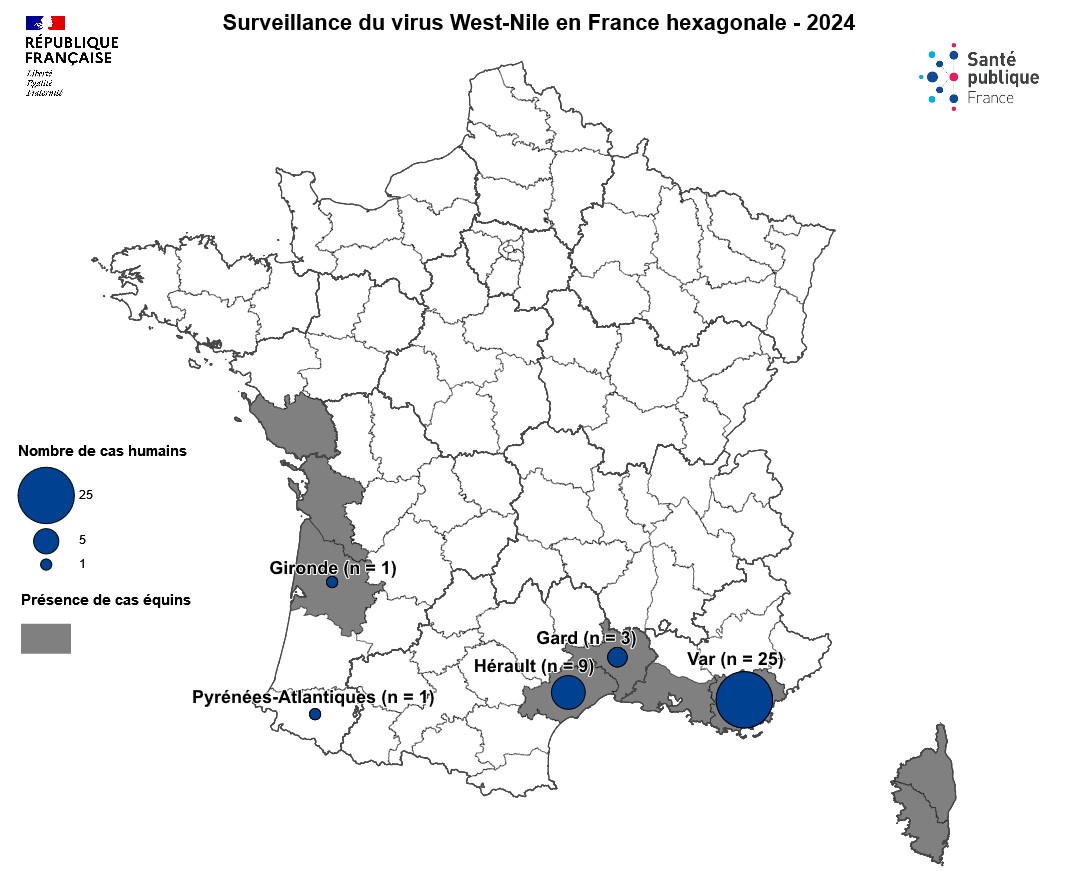 Carte France hexagonale - Cas humain virus West Nile : Gironde n=1; Pyrénées-Atlantiques n=1; Hérault n=9; Gard n=3; Var n=25