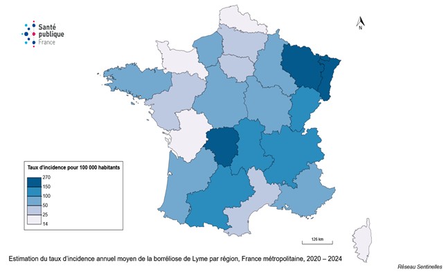 Estimation du taux d’incidence annuel moyen de la borréliose de Lyme par région, France métropolitaine, 20120 – 2024)