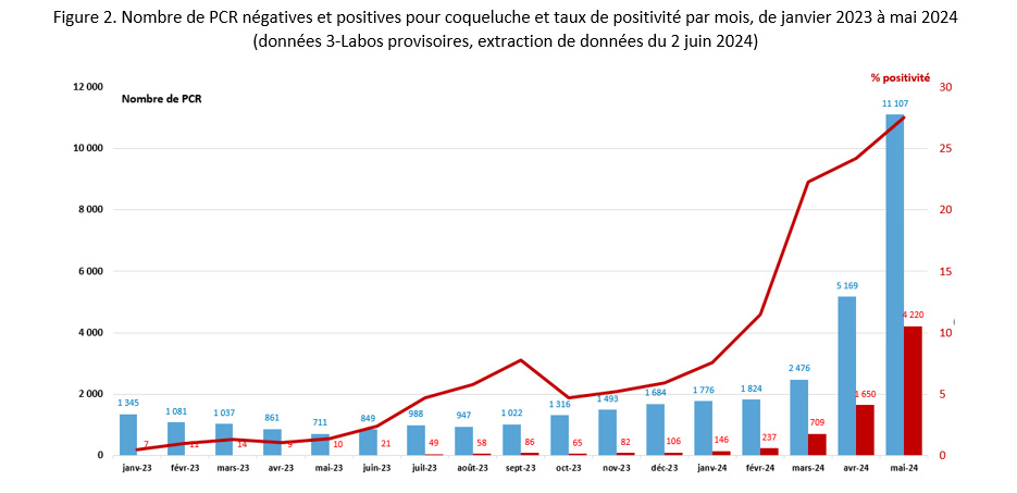 Figure 2. Nombre de PCR négatives et positives pour coqueluche et taux de positivité par mois, de janvier 2023 à mai 2024 (données 3-Labos provisoires, extraction de données du 2 juin 2024)