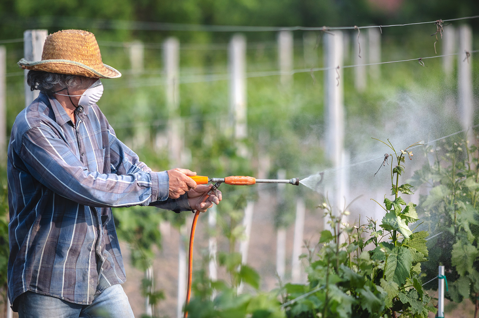 Visuel illustrant un homme en train de diffuser des produits sur ses cultures