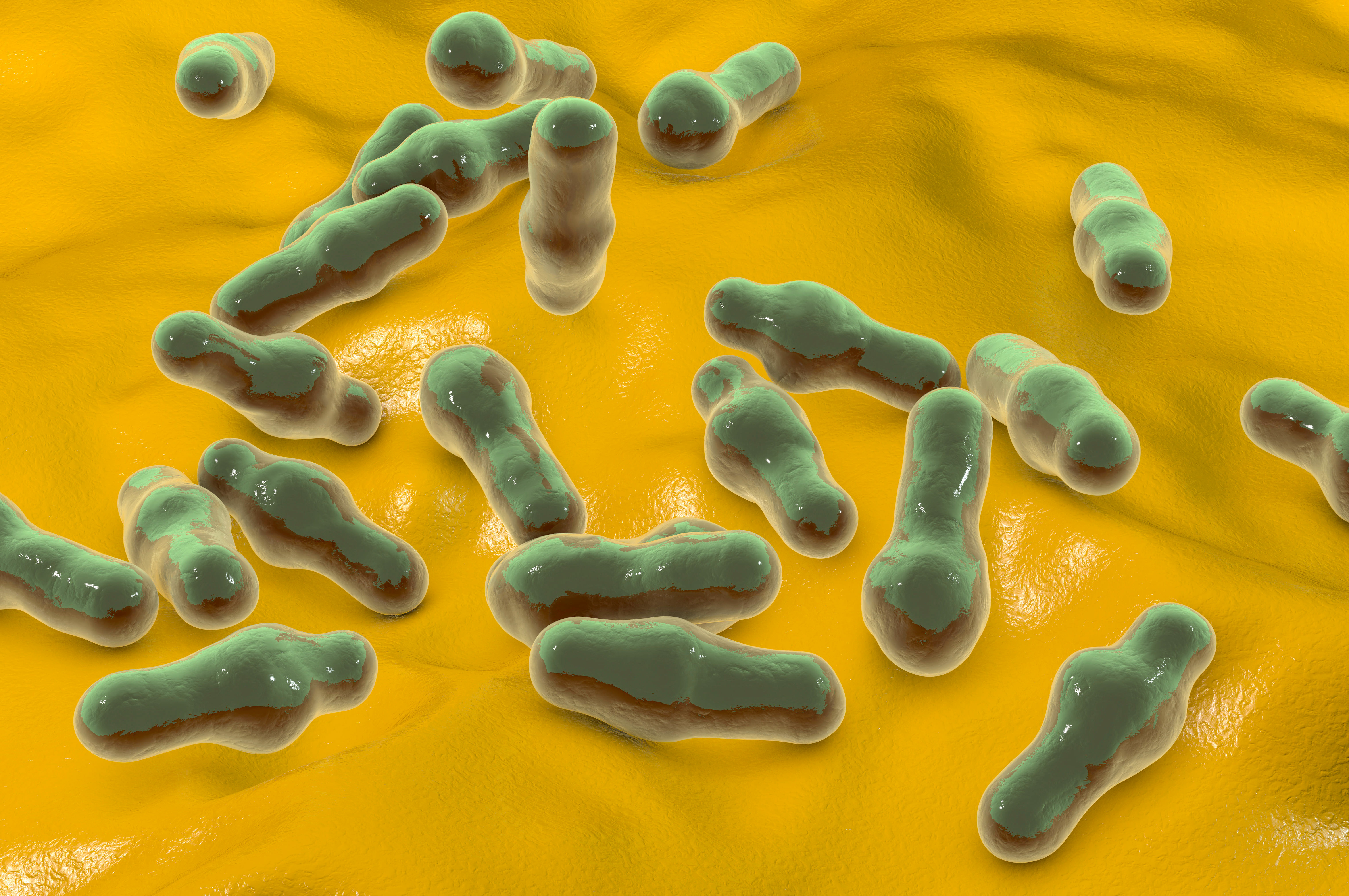 illustration du virus du tétanos