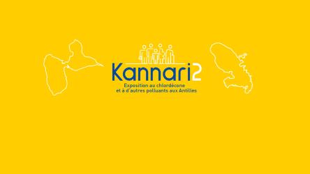 Visuel d'illustration de l'enquête Kannari