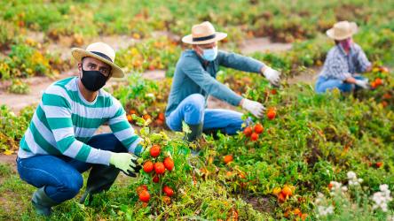 Illustration de travailleurs du monde agricole