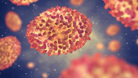 illustration du virus de la variole