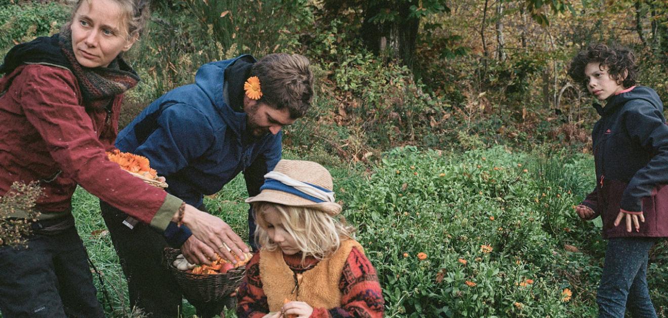 Photo d'une famille en train de ramasser des fleurs