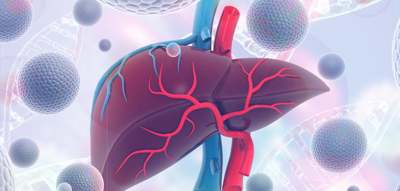 Hépatites B et C : données épidémiologiques 2019