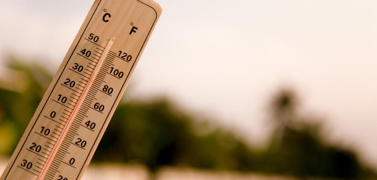 Canicule et fortes chaleurs : lancement de la veille saisonnière