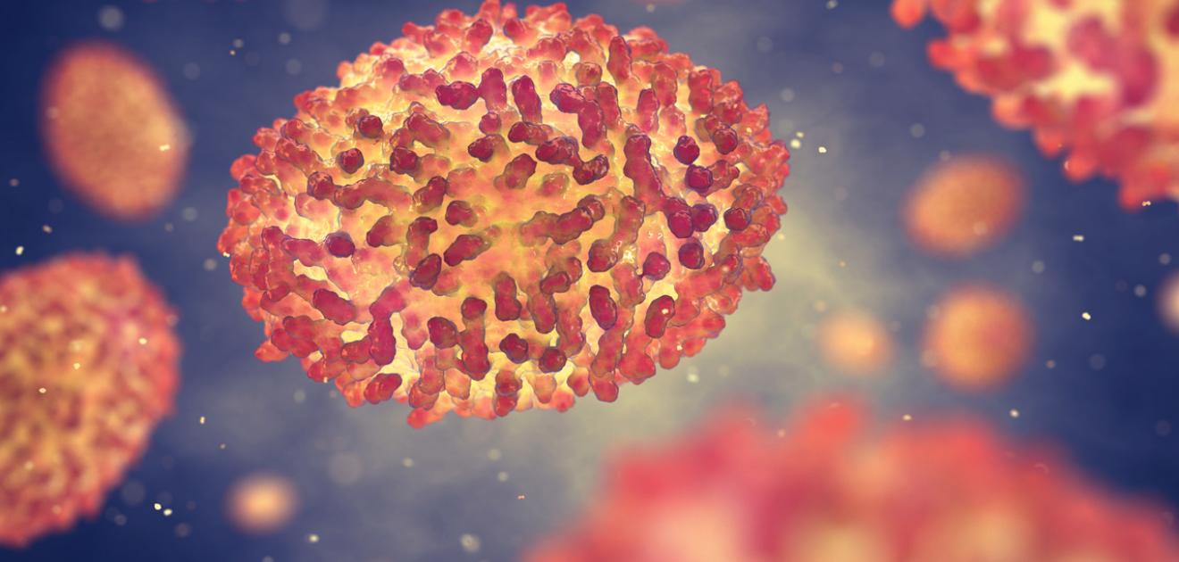 illustration du virus de la variole